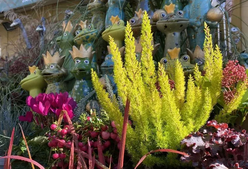Limettengrün Baumheide mit Gartendeko-Artikel aus Keramik im Hintergrund