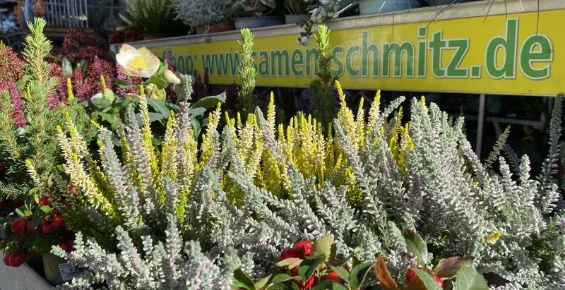 Besenheiden - Impressionen aus unserem Laden am Viktualienmarkt 
