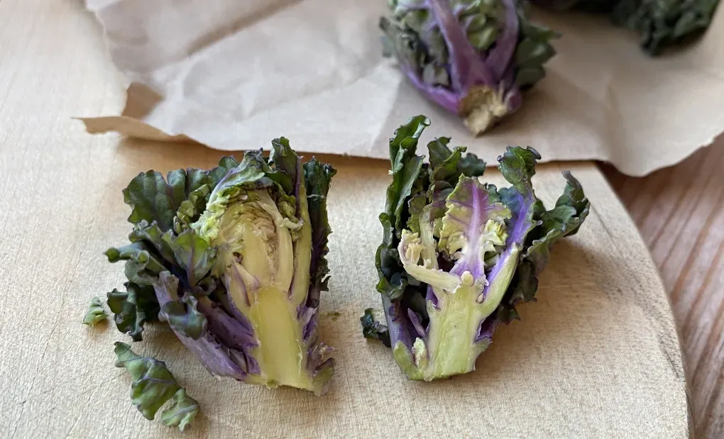 Flower Sprouts anbauen & genieen | Ratgeber fr urbane Grten
