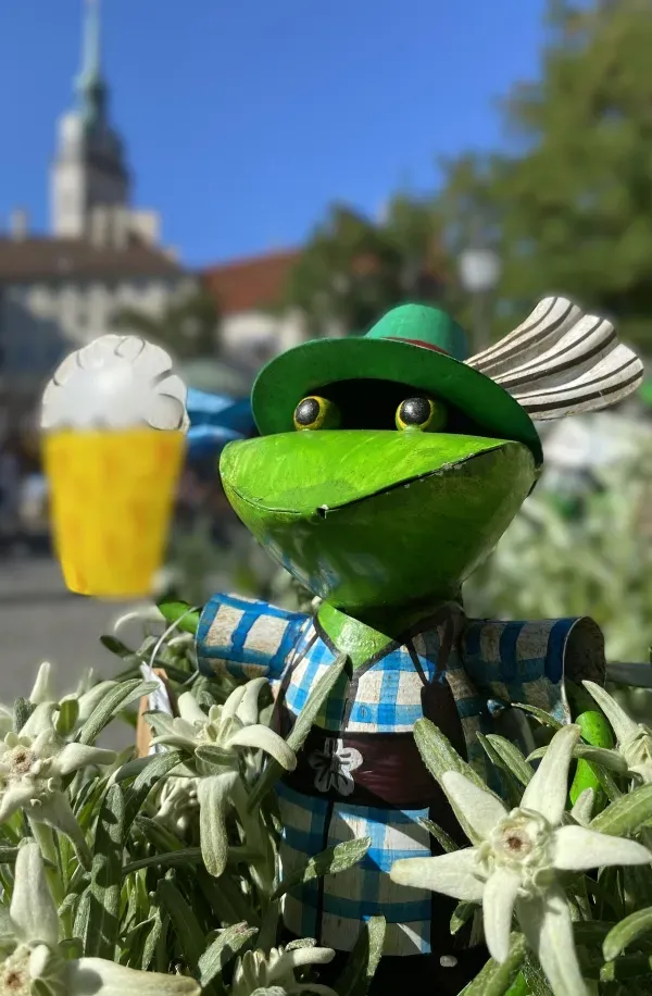 Grüne Froschfigur mit Hut und Bierglas in Blumenbeet
