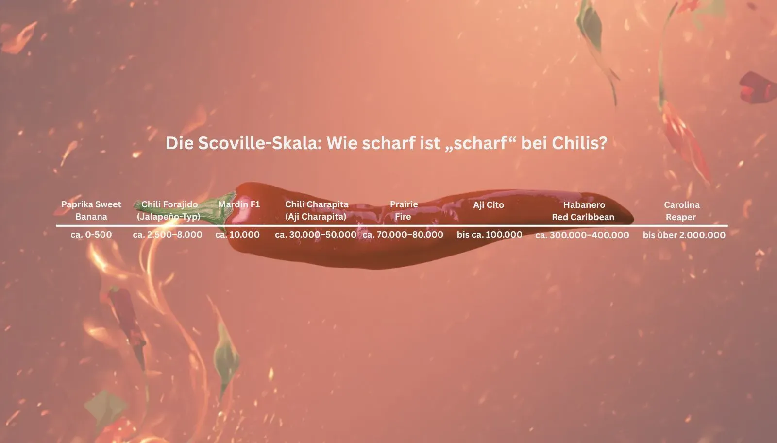 Grafik zur Scoville-Skala mit Chili und Erklärung der Schärfegrade