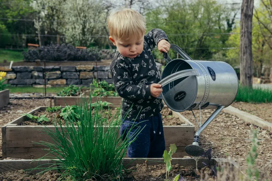Kleines Kind gießt Pflanzen im Hochbeet mit Metallgießkanne im Garten