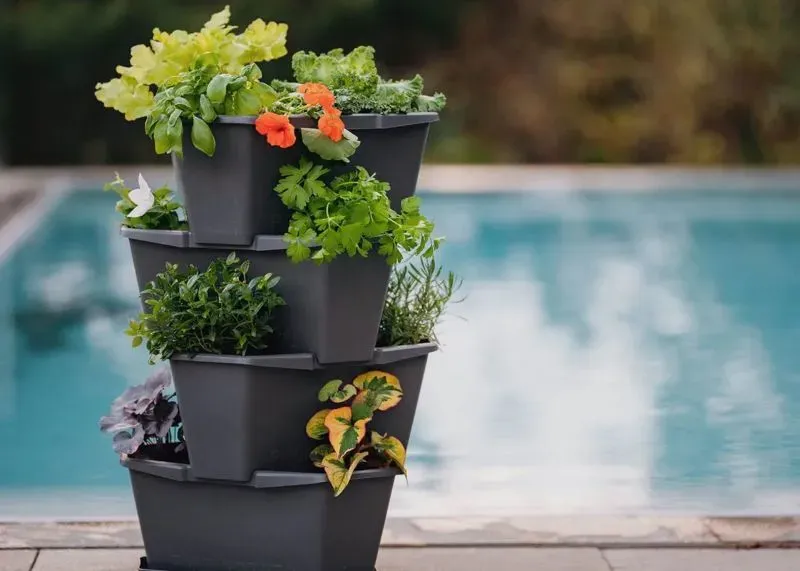 Mehrstöckiger Pflanzkübel mit Kräutern und Salat auf Terrasse am Pool