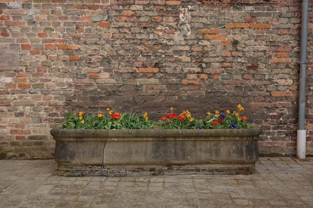 Langer Pflanzkübel mit bunten Frühlingsblumen vor einer alten Backsteinmauer im Außenbereich.