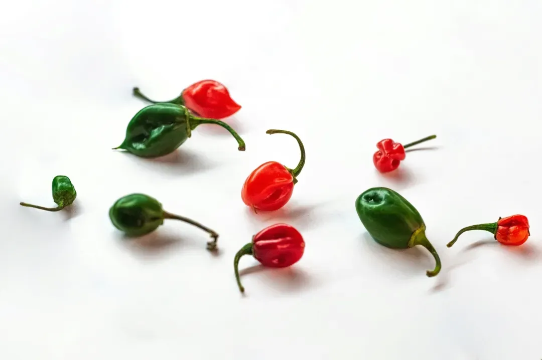 Kleine rote und grüne Chilischoten auf weißem Hintergrund