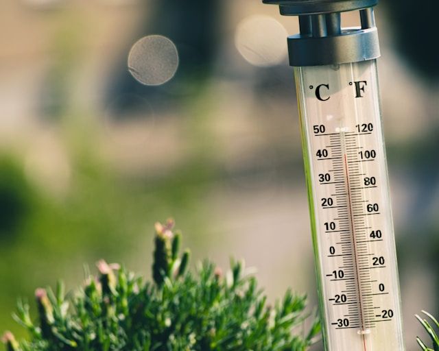dünger ohne tierische bestandteile Bio-Dünger – SUPERGREEN main image 0