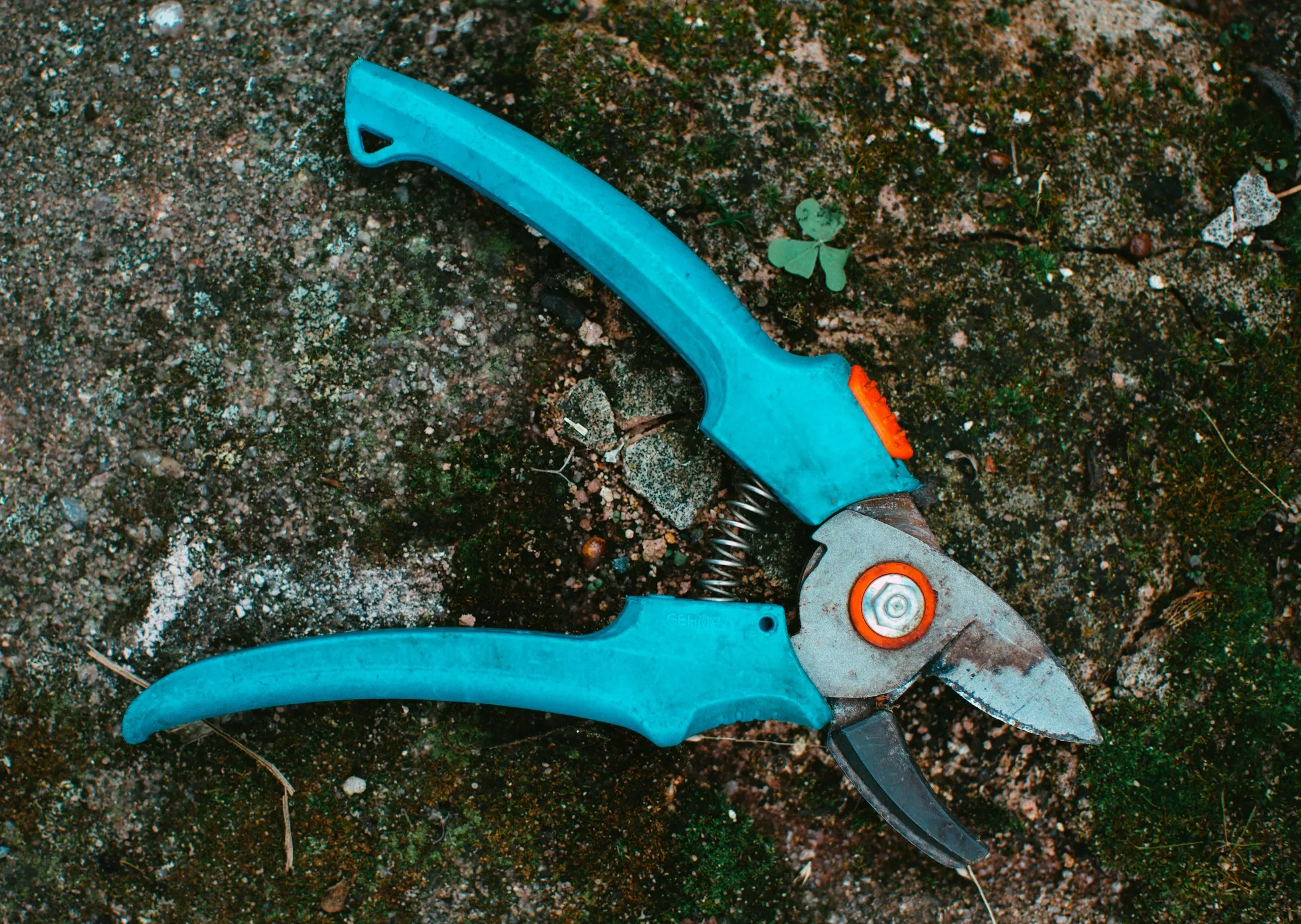 Eine hellblaue A-Gartenschere