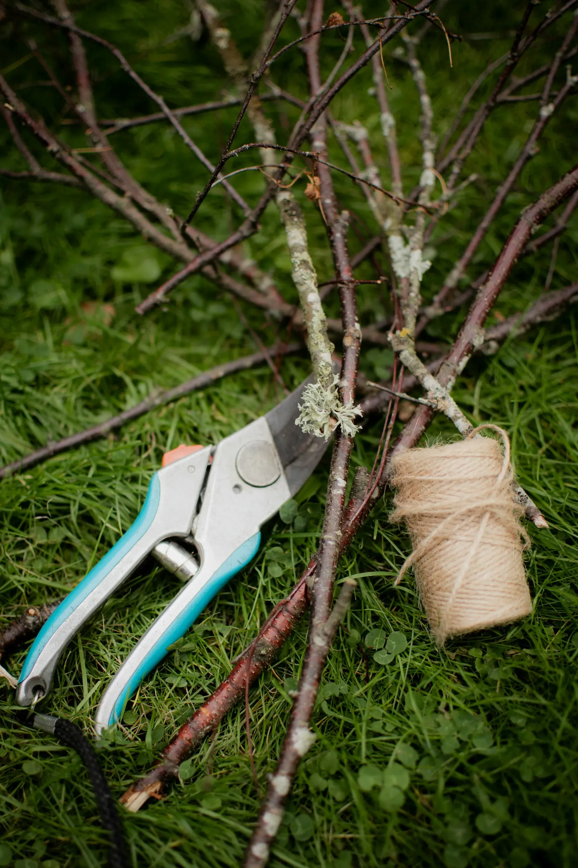 Gartenschere mit Zweigen und Juteschnur auf grünem Rasen