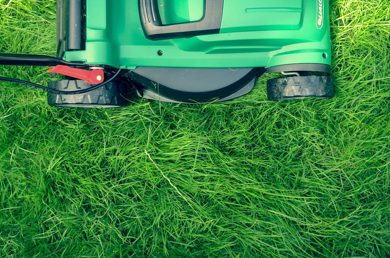 Es ist wichtig, den richtigen Vertikutierer für Ihren Garten zu wählen.